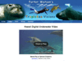 tropicseadive.com