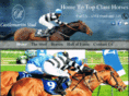 castlemartinstud.com