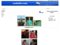 loubutler.com