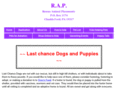 lastchancedogs.com