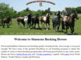 simmonsbuckinghorses.com