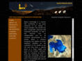 spectrum-aerospace.com