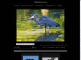 thrukurtslens.com