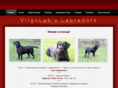 vilgolabs.com