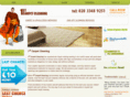 1stcarpetcleaning.biz