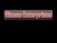 gineseenterprises.com