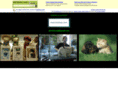 mascotashop.com