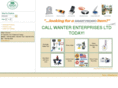 wanterpromos.com
