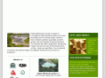 empirewholesale.com