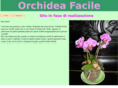 orchideafacile.com