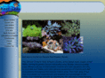 coralstuff.com