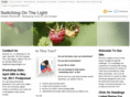 switchingonthelight.com