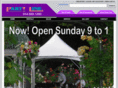 elmsfordpartyrental.com
