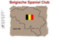 belgischespanielclub.com