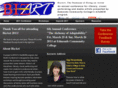 bizartinfo.com