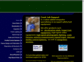 crashlabsupport.com