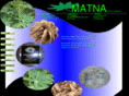 matnafoods.com