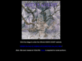 odinscourtband.net