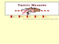trinitymeadowsraceway.com