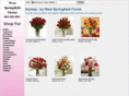 westspringfieldflorist.com