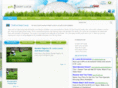 golfinstlucia.net