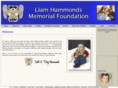 liamsmemorialfoundation.org