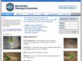 surecleansolutions.com