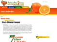 citrusolutionga.com