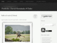 davidhm.com