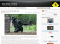 easystreetpaintball.com