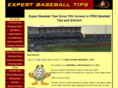 expert-baseball-tips.com