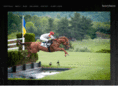 henrysternphotography.com