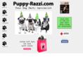 puppy-razzi.com