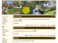 staon.net
