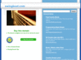 swingboot.com