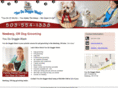 youdodoggiewashnewberg.com