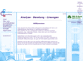 seeborg-consulting.com