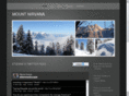 swiss-dragon.com