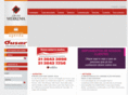 werkemaconsultores.com