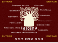 caicena.com