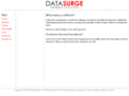 datasurge.co.uk