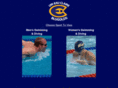 blugoldswimdive.com