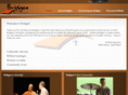 bridgesoc.com