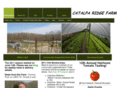 jerseygrown.net