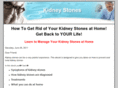 kidneystone5.com