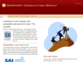 newportconsgroup.com
