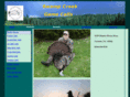 swampcreekgamecalls.com