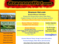 bransonhot.com