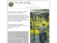 mesacolorjobshop.com