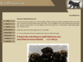 sisterschnauzers.com